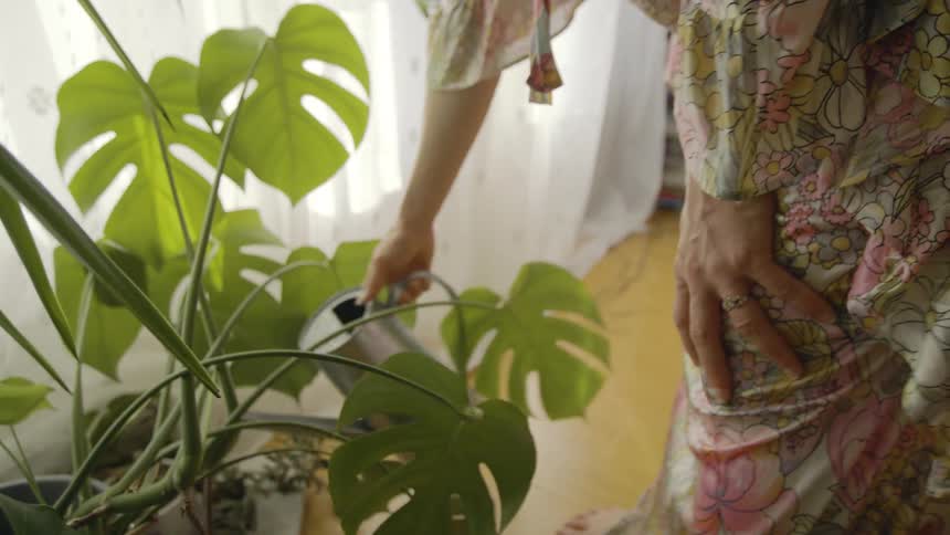 A pregnant woman in a gown is watering large plants in her home during the daytime