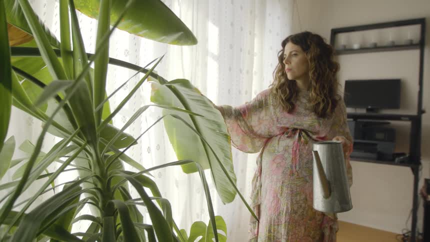 A woman dips her hand in a watering can before rubbing the leaf of a large house plant
