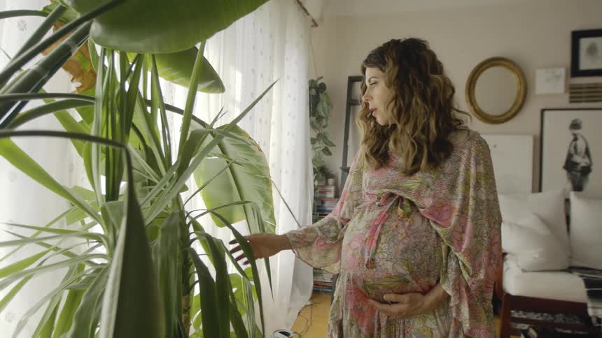 A woman is touching the leaf on her plant
