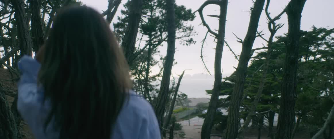 A woman is standing and looking towards the ocean through trees