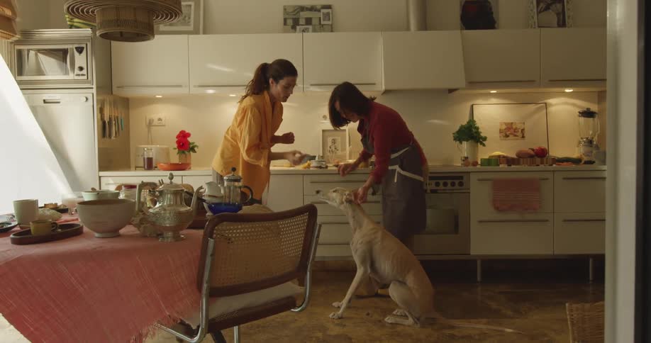 Two women are standing in a kitchen and feeding something to a big white dog