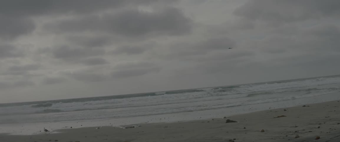 View of an empty beach with a bird flying above