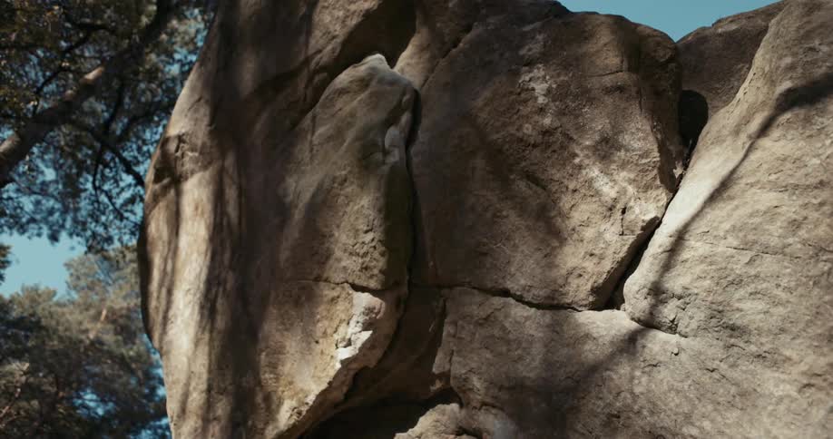 A large rock formation is in the forest