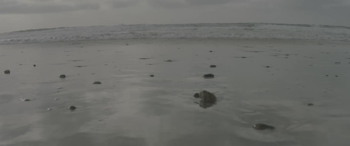 Waves come to shore on a cloudy day
