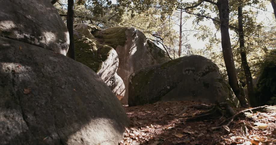 Large boulders along a path in the woods