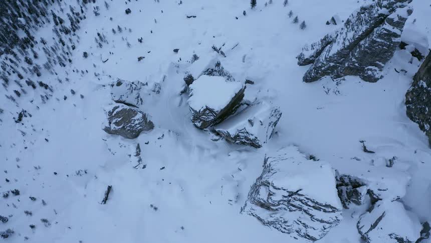 The forest sits near stacks of stone covered in snow