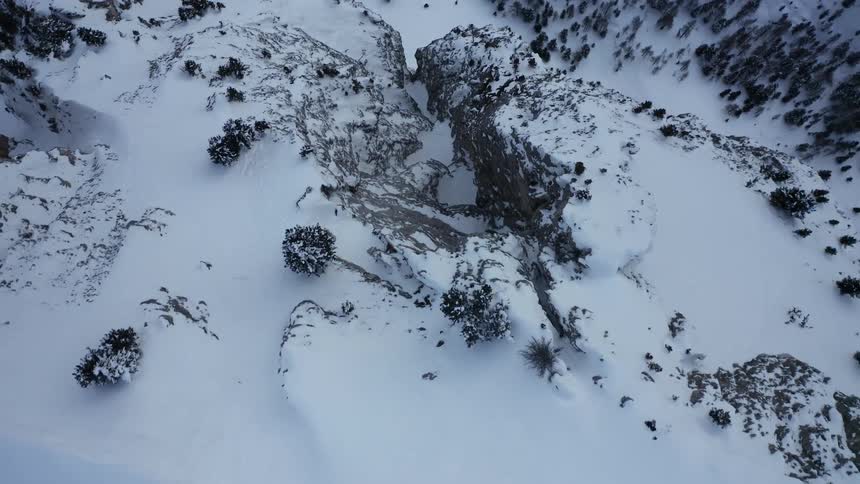 Trees covered with snow are on top of a very snowy mountain