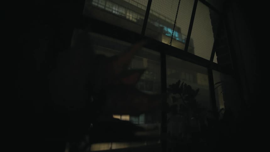 View out of a window of a buildings balcony and windows