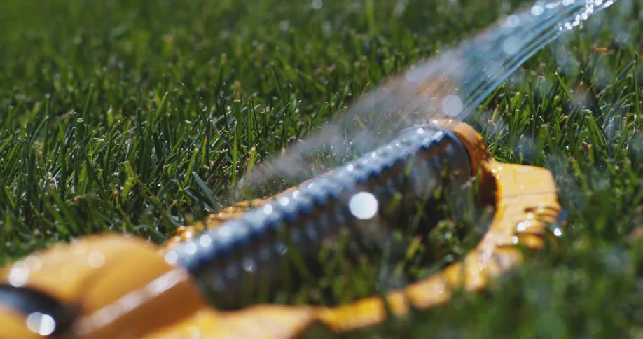 The sprinkler waters the green lawn