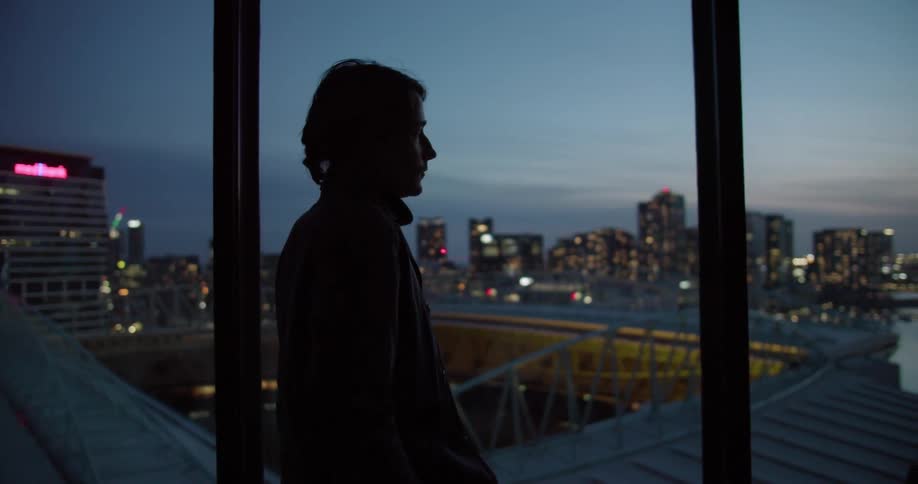 A man is standing on a balcony looking at the river and the city