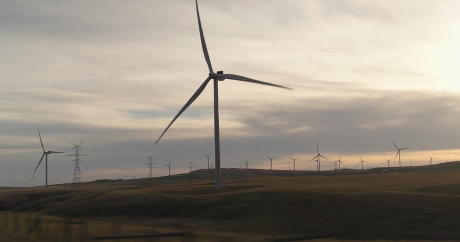 The hills are covered with windmills