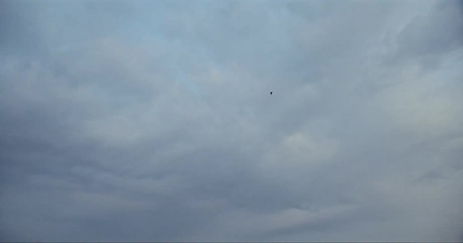 Cloudy sky with a bird high up