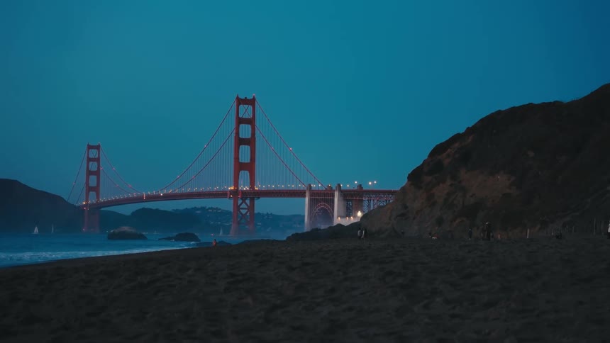 A dog runs back and forth along the coast near the golden gate bridge