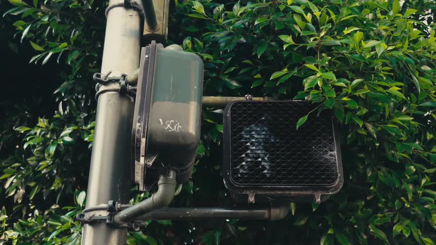 A view of a walk sign on a traffic light