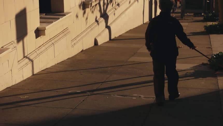 A woman walks her dog down the street
