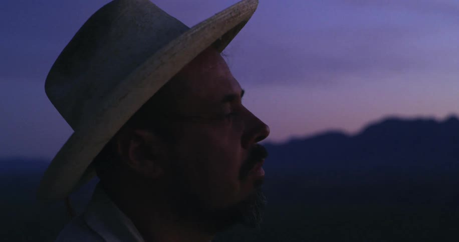 A man staring out into the distance at dusk