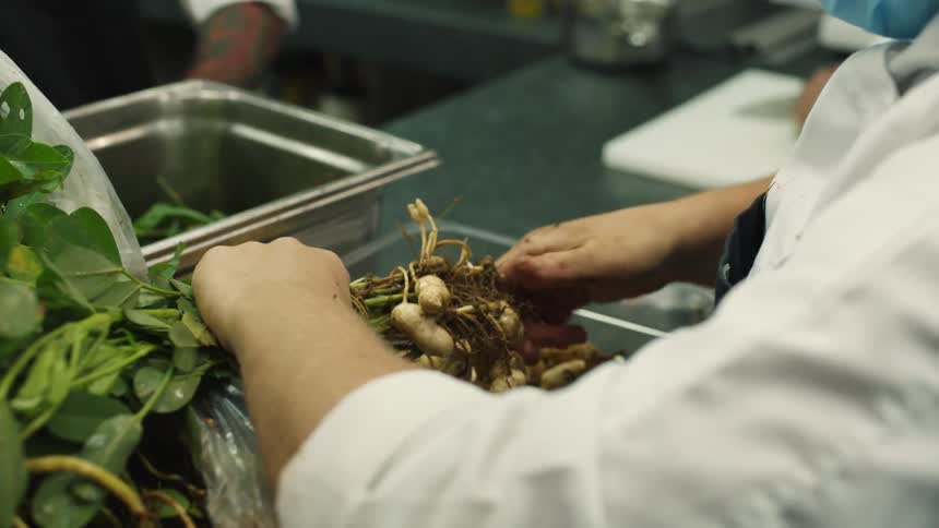 Prep cooks chop and pick produce off plant in restaurant kitchen standing at counter