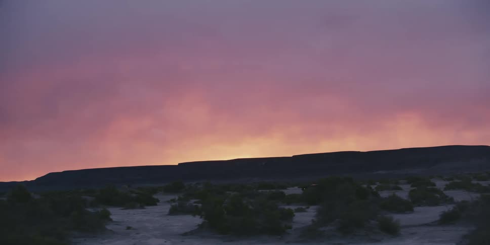 Car driving around the green bushes on the desert near the mountain at sunset