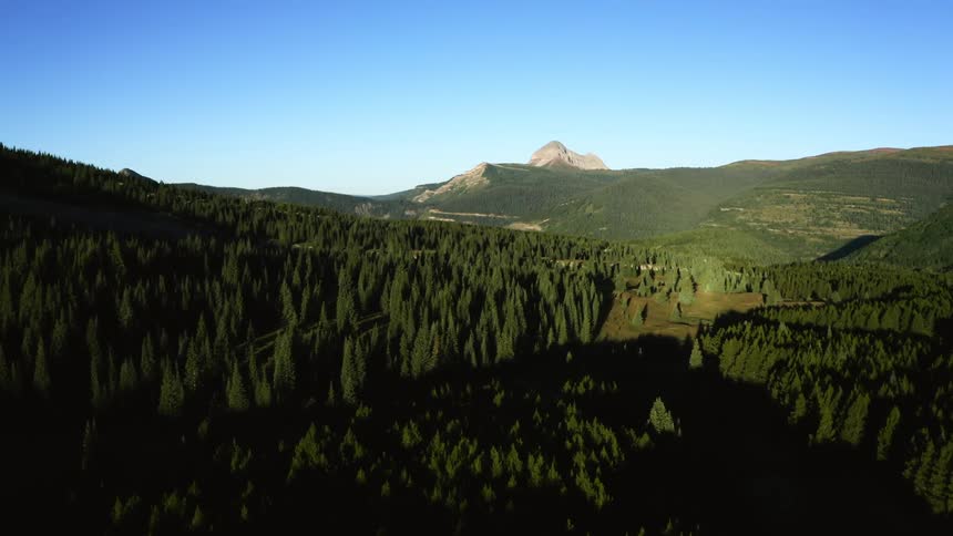 A aerial view of a mountain forest on a cloudless day