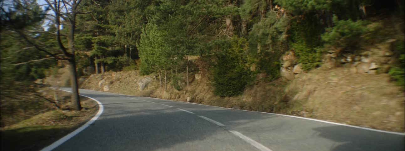 Traveling on a remote highway surrounded by trees and plants
