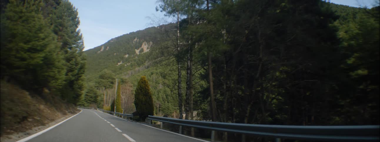 Tall trees loom over a rural highway near mountains in the countryside