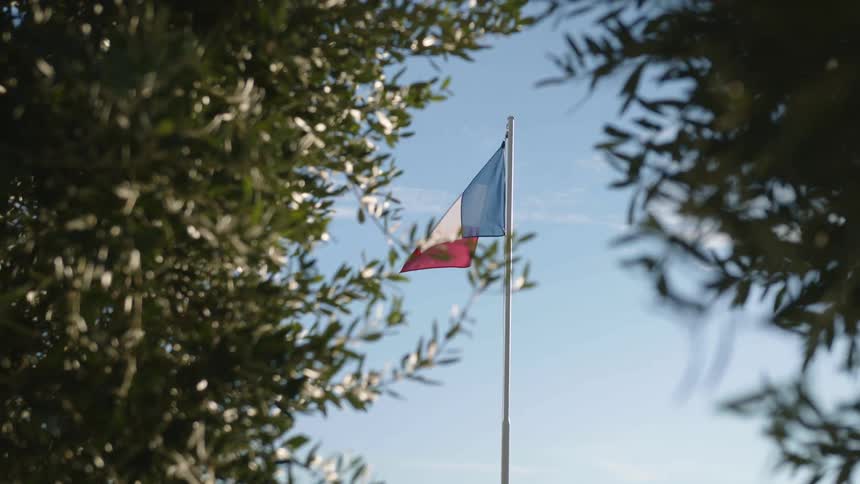 Flag waves in wind on flagpole against blue sky visible between trees