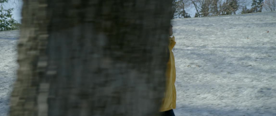 Person wearing a backpack walking through a snowy wooded area