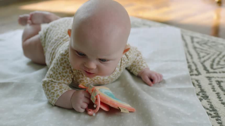An infant holding a pacifier is on a rug attempting to crawl in a living room during the daytime