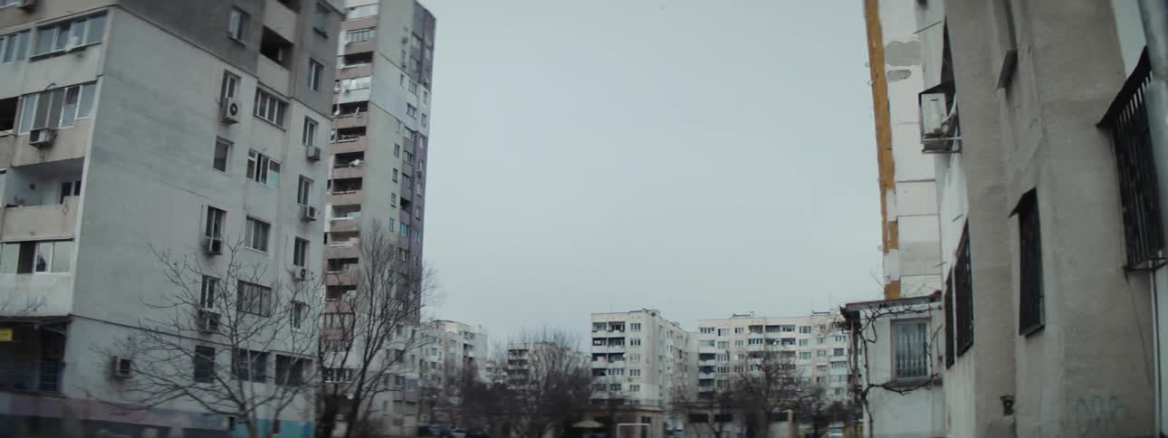 Old apartment buildings rise above the trees