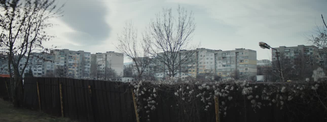 Bare trees and city buildings on a cloudy cold winter day