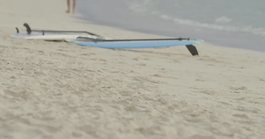 Surfboards laying on a beach