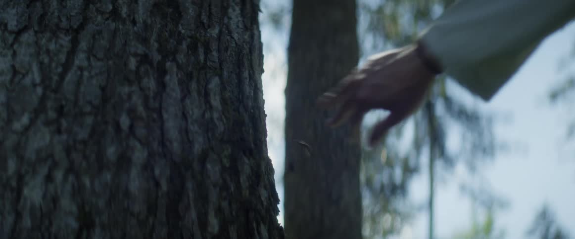 A person places their hand on a tree as they walk by it