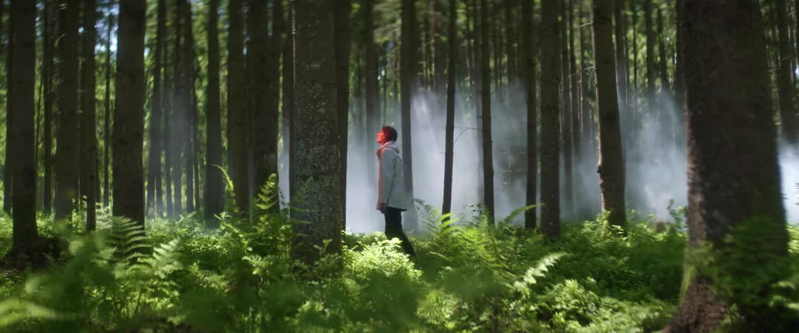 A man walks up to a tree in a forest and looks at its trunk