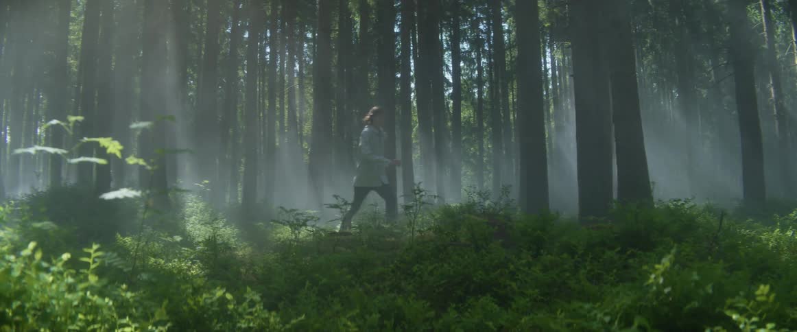 A person running in a forest with smoke trees and plants