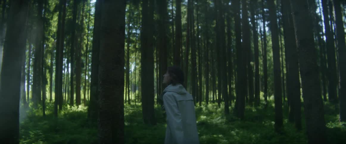 A man is walking through a dense and foggy forest