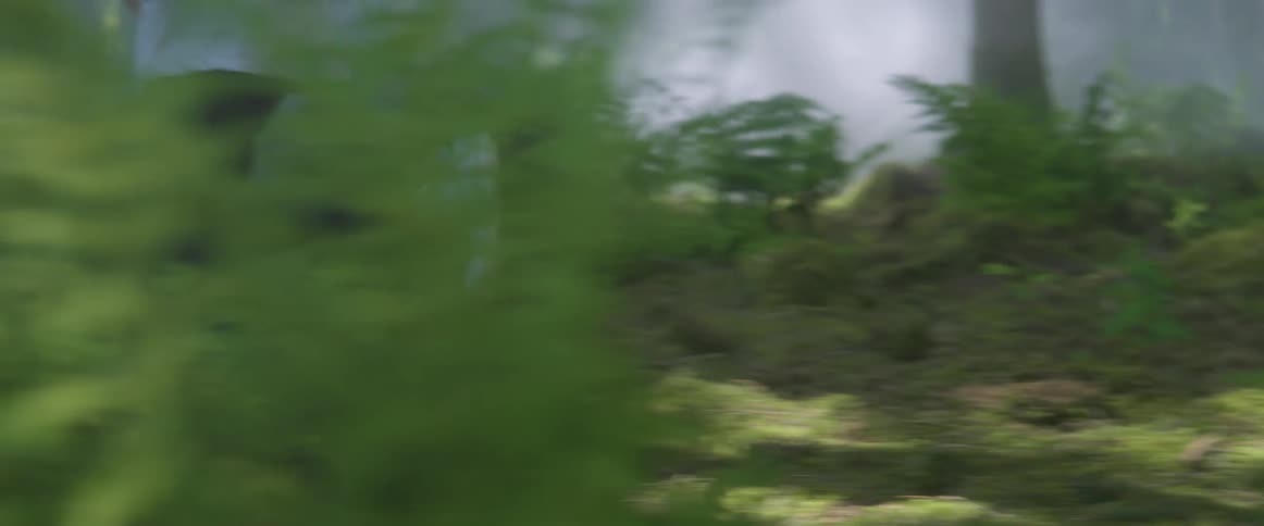 Someone wearing black stretch pants and white tennis shoes is running in the woods