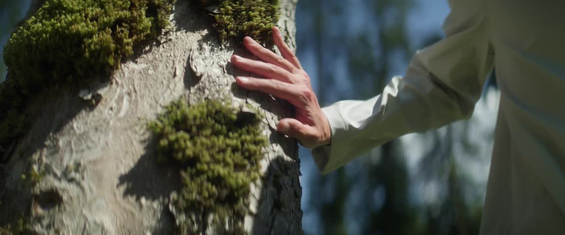 A man touches the tree as he runs past