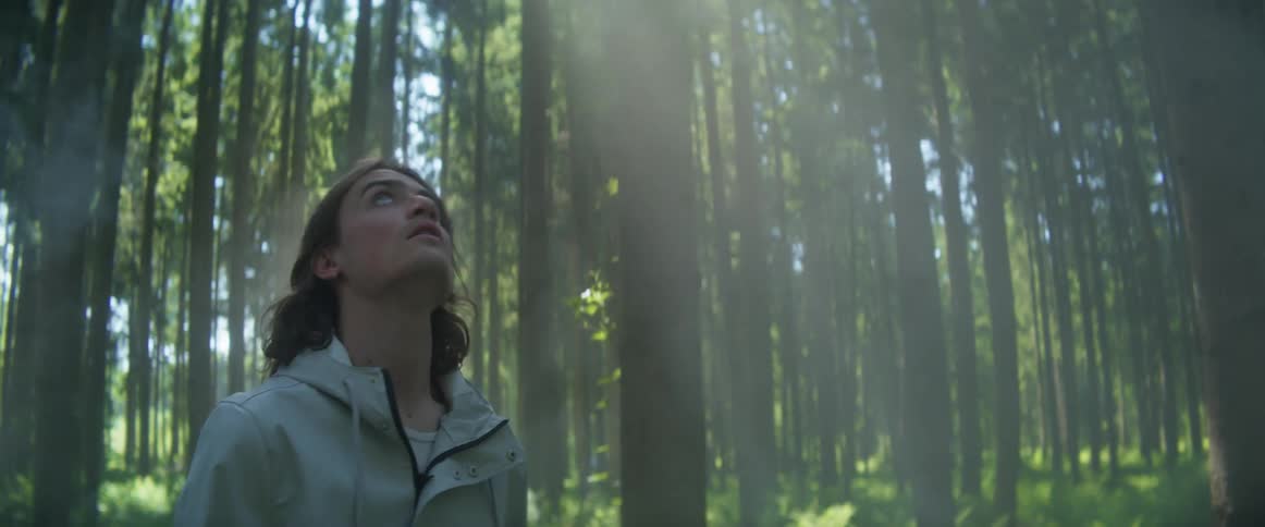 A man looks around the large forest