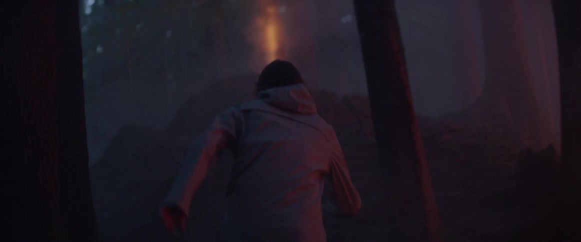 A person runs towards a fire in a forest