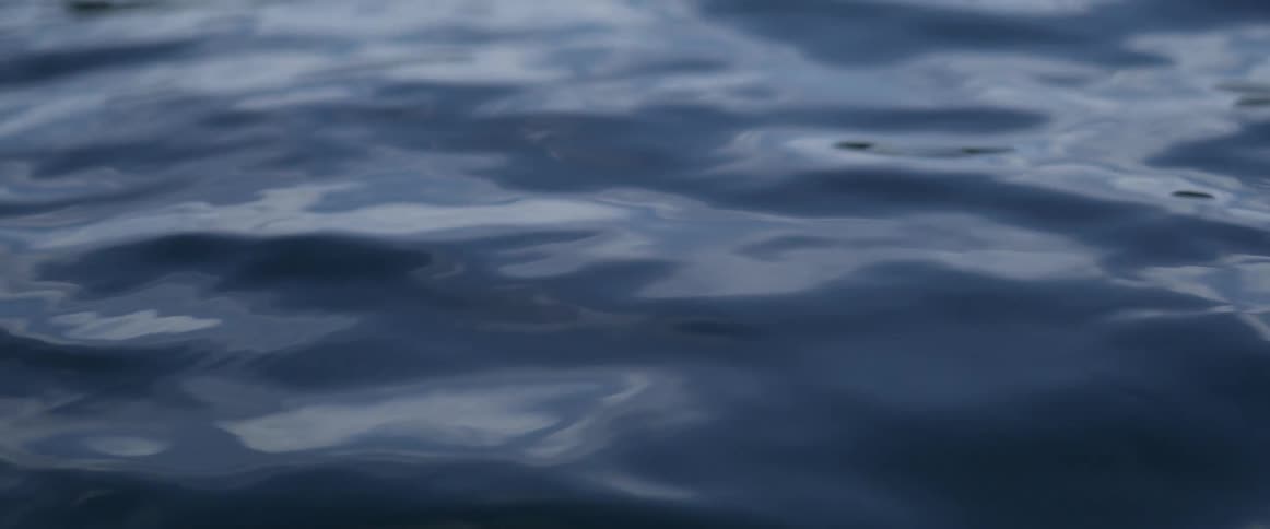Blue and gray waves highlighted by sunlight move across surface of water