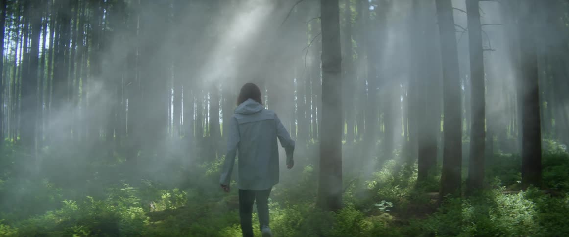 Man wearing jacket walks across smoky forest