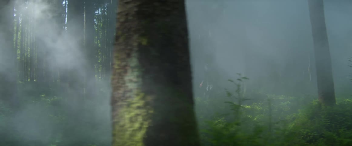 Man wearing hooded jacket runs through foggy forest