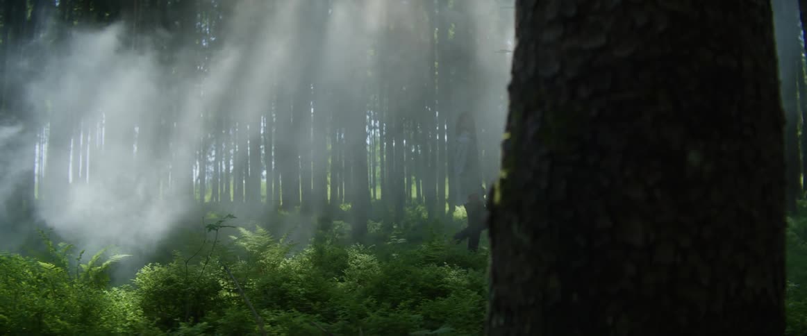 Somebody is walking though a foggy forest as the sun shines through the trees