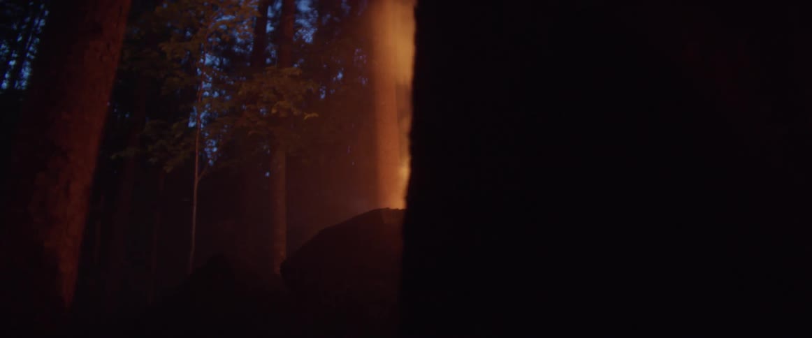 A man puts his hand in the light shining in the forest