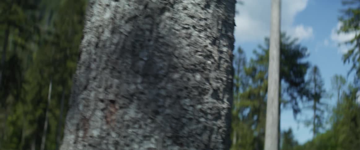 A man is hiking through the woods