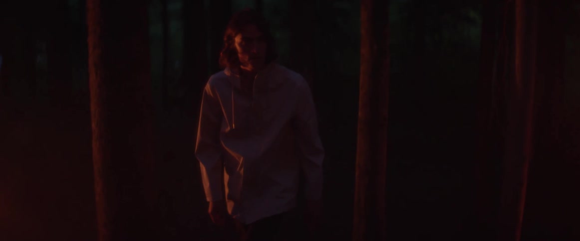 A young man is walking in the woods in the dark and there is smoke around the trees