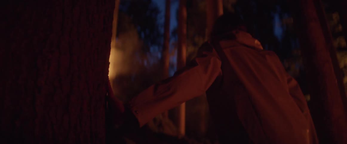 A person is walking through trees in a dark forest to a fire in the woods