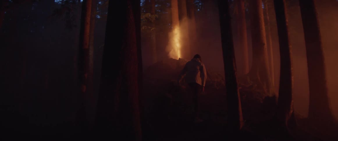 A person in a forest walks towards smoke billowing