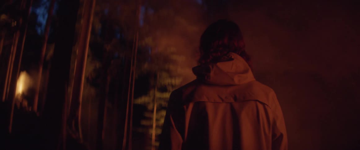 Man wearing hooded coat walks through foggy conifer forest at night