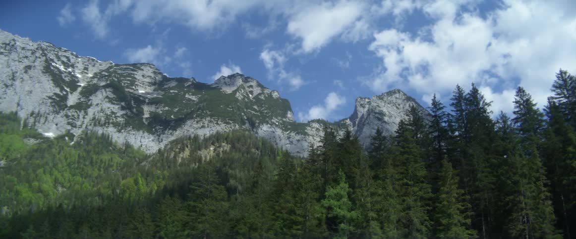 A forest with trees with a mountain range the sky and clouds in the background